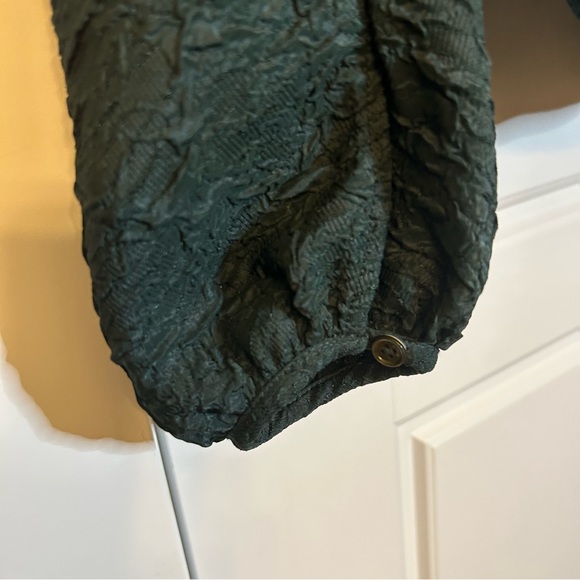 ARITZIA WILFRED PEPLUM BLOUSE IN DARK GREEN CROSSOVER FRONT SIZE SMALL - Picture 12 of 14